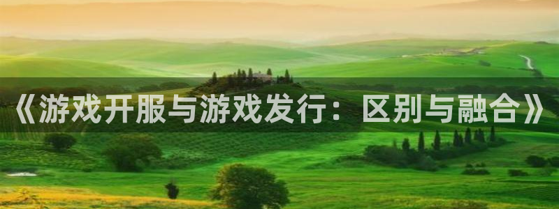 新宝GG技术有限公司招聘：《游戏开服与游戏发行：区别与融合》