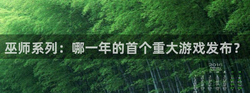 新宝GG官网登录注册账号是什么样的：巫师系列：哪一年的首个重大游戏发布？