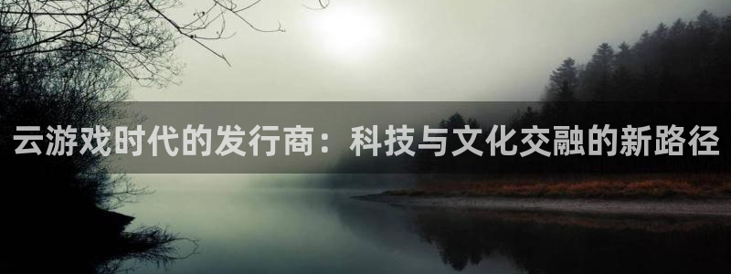 陕西新宝GG子文化创意有限公司1：云游戏时代的发行商：科技与文化交融的新路径