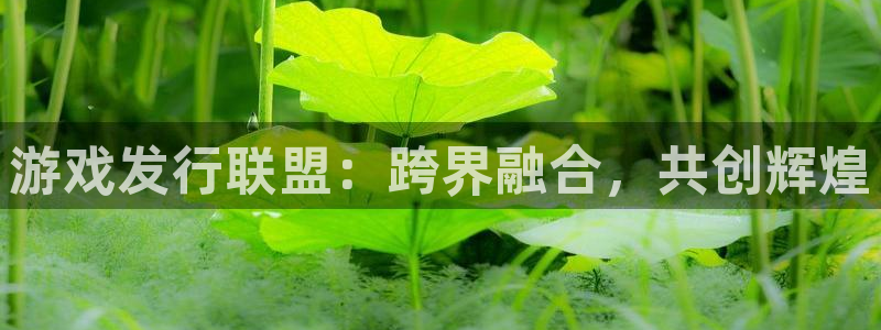 新宝GG电子商务：游戏发行联盟：跨界融合，共创辉煌