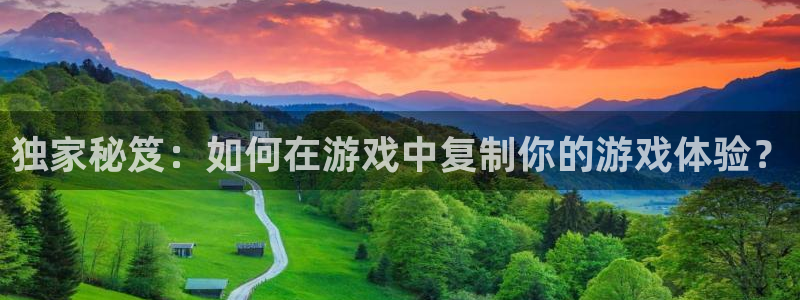 新宝GG技术有限公司官网：独家秘笈：如何在游戏中复制你的游戏体验？