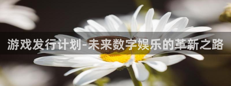 新宝GG是什么品牌：游戏发行计划-未来数字娱乐的革新之路