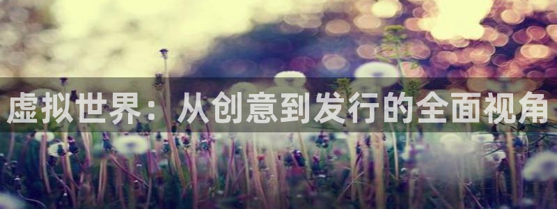 新宝GG官网注册地址查询：虚拟世界：从创意到发行的全面视角