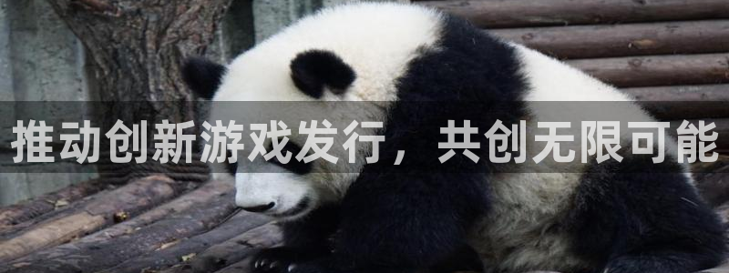 新宝GG注册开户：推动创新游戏发行，共创无限可能