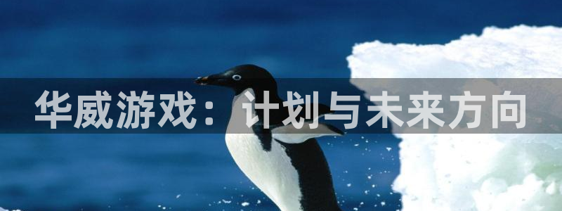 新宝GG官网解绑银行卡怎么弄：华威游戏：计划与未来方向