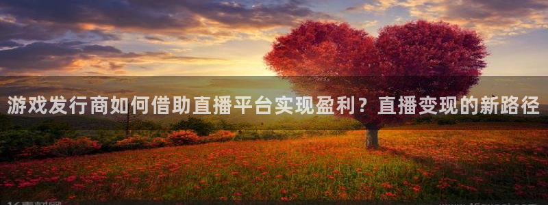 陕西新宝GG子文化创意有限公司有什么游戏：游戏发行商如何借助直播平台实现盈利？直播变现的新路径