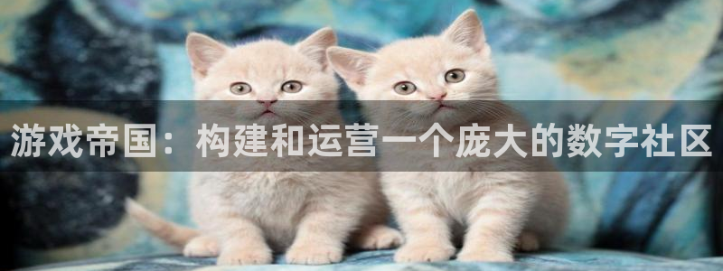 新宝GG集团董事长刘一辰简历：游戏帝国：构建和运营一个庞大的数字社区