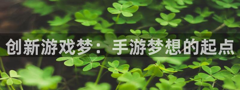 广州新宝GG运动服