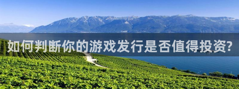 新宝GG官网注册登录官网：如何判断你的游戏发行是否值得投资?