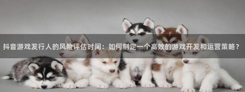 陕西新宝GG子文化创意有限公司有什么游戏：抖音游戏发行人的风险评估时间：如何制定一个高效的游戏开发和运营策略？