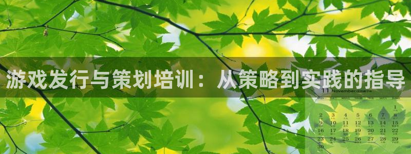 新宝GG子公司怎么样