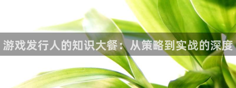 新宝GG官网官网注册账号怎么注册：游戏发行人的知识大餐：从策略到实战的深度