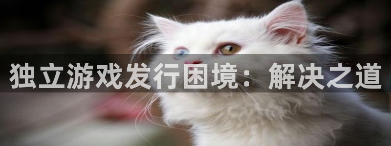 新宝GG子图书