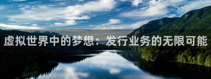 新宝GG官网注册平台官网：虚拟世界中的梦想：发行业务的无限可能