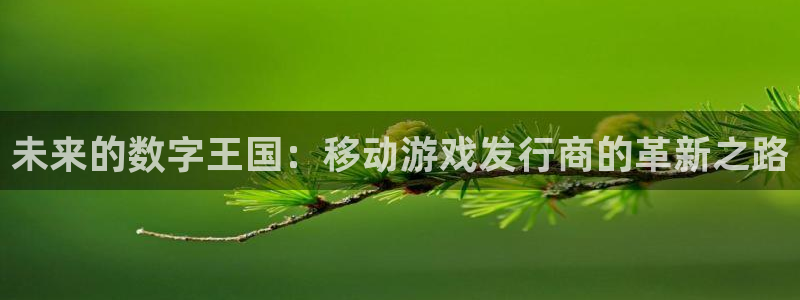 新宝GG官网登录注册账号安全吗可靠吗：未来的数字王国：移动游戏发行商的革新之路