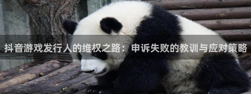 新宝GG子文化创意做什么的