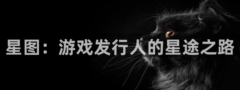 新宝GG官网注册地址查询：星图：游戏发行人的星途之路