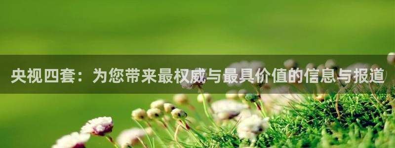 360体育网足球直播：央视四套：为您带来最权威与最具价值的信息与报道