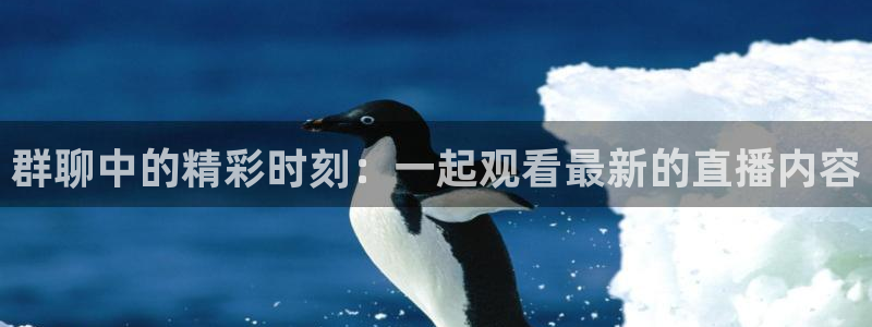 360直播吧雨燕直播：群聊中的精彩时刻：一起观看最新的直播内容