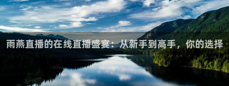 360直播老高侃球：雨燕直播的在线直播盛宴：从新手到高手，你的选择