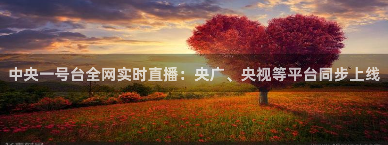 雨燕360体育直播高清完整版：中央一号台全网实时直播：央广、央视等平台同步上线